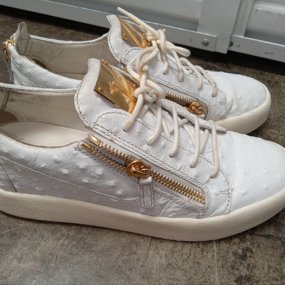 Giuseppe Zanotti